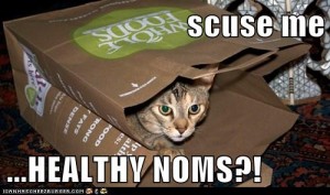 scuse me, HEALTHY NOMS?!